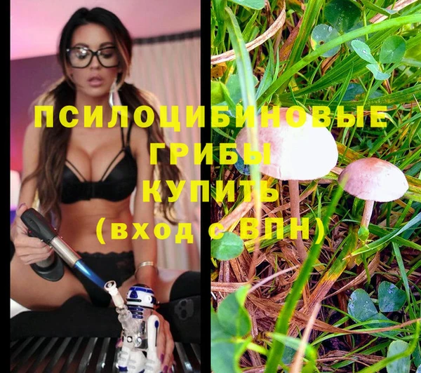 соль курить ск Пролетарск