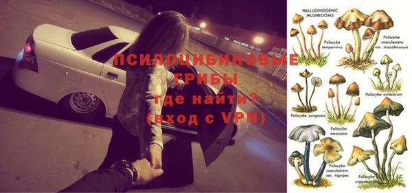 дмт Протвино