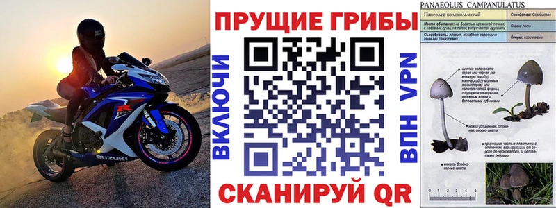 закладки  Удачный  Псилоцибиновые грибы прущие грибы 